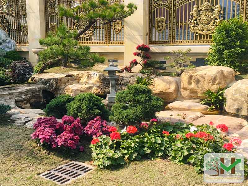 Dịch vụ chăm sóc sân vườn