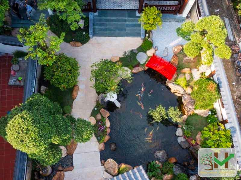 Thiết kế thi công hồ cá koi