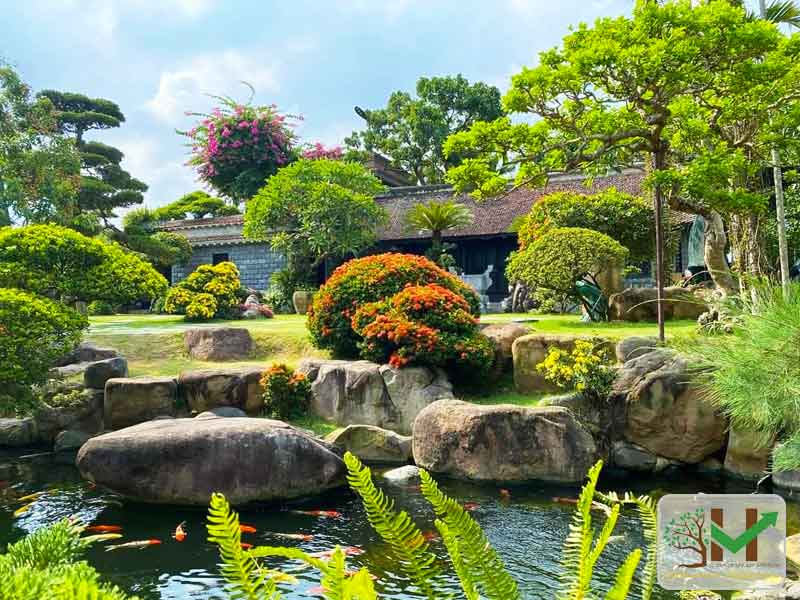 Thiết kế thi công sân vườn