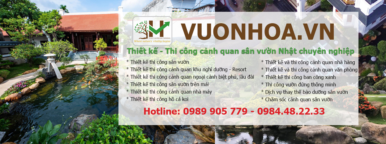 Thông tin dịch vụ