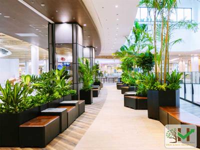 Thi công trang trí cảnh quan trung tâm thương mại Aeon Mall Huế