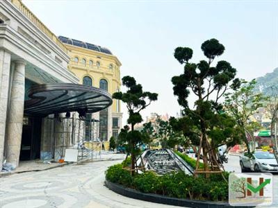 Hoàn thiện cảnh quan suối nhân tạo khách sạn Victoria Tam Đảo (part 2)