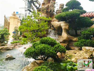 Công trình Sân vườn, hồ Koi Mr.Nam - Hưng Yên