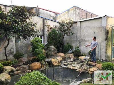 Thiết kế thi công hồ cá Koi, Mr. Luân - Yên Mỹ, Hưng Yên