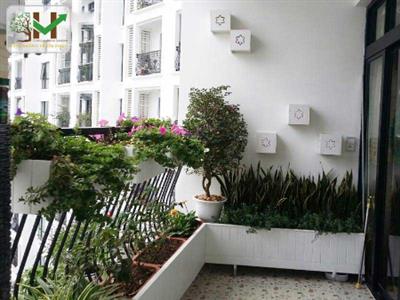 Công trình ban công xanh Chị Anh - R2B Roycity