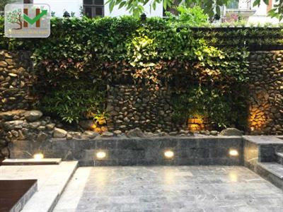 Công trình sân vườn chị Thủy - 310 Nghi Tàm