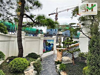Thông tranh tường sân vườn biệt thự - VUONHOA