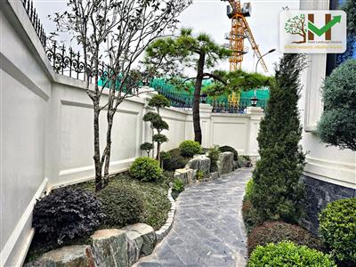 Lối đi tiểu cảnh sân vườn biệt thự - VUONHOA