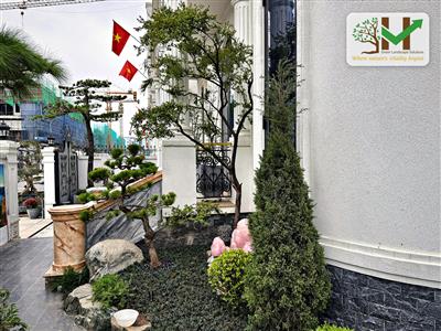 Góc sân vườn biệt thự - VUONHOA