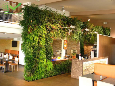 Thiết kế vườn tường xanh đứng cho nhà hàng