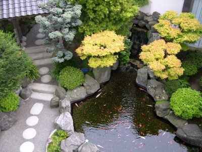 Mẫu biệt thự vườn Nhật đẹp mê ly