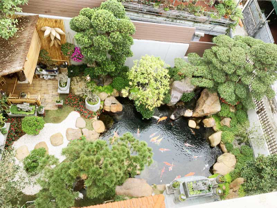 Mẫu hồ Koi hiện đại tôn vẻ đẹp cho sân vườn nhà bạn