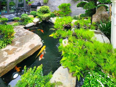 Xu hướng sân vườn Nhật Bản đẹp bốn mùa xanh tươi mát mắt