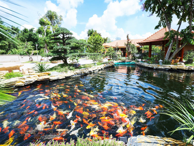 Sân vườn đẹp, hút khách cho khu du lịch sinh thái, vui chơi, nghỉ dưỡng