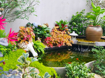 Hồ Koi xinh xắn cho sân vườn có diện tích nhỏ như mang cả thế giới vào ngôi nhà của bạn