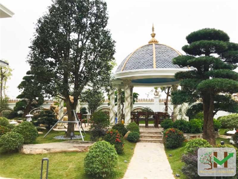 Vườn Nhật cho biệt thự - khi thiên nhiên trở thành “nghệ thuật sống”