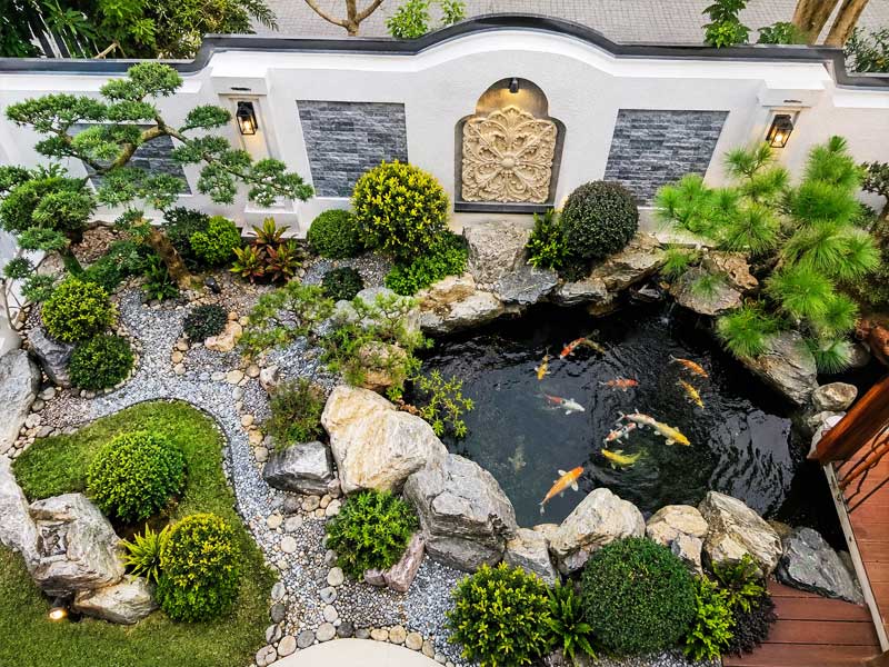 Giải pháp toàn diện: kiến tạo sân vườn hồ koi hiện đại chuẩn Nhật trọn gói từ Sơn Kim Việt Nam