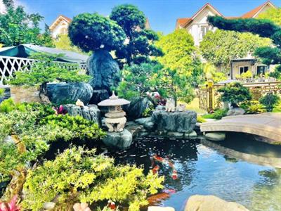 Sân vườn Nhật Bản đẹp - nơi thiên nhiên chữa lành mọi muộn phiền cuộc sống chẳng phải đâu xa ngay tại tư gia của Bạn