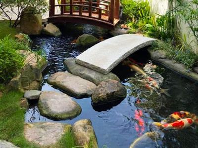Cầu đá thô mộc - điểm nhấn hoang sơ mà cuốn hút cho hồ Koi sân vườn
