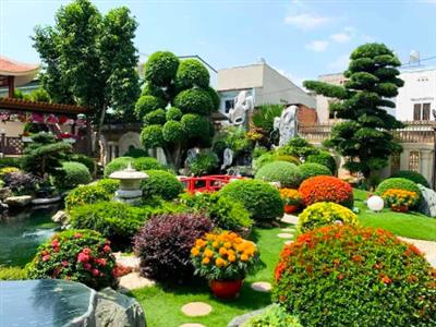 Biến sân vườn Nhật Bản thành công viên thiên nhiên thu nhỏ với nghệ thuật bố trí hoa cảnh, bonsai
