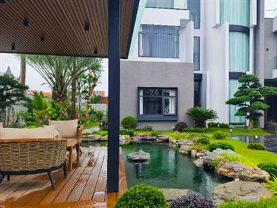 Góc nhỏ bên hồ Koi - Không gian thưởng trà và đàm đạo trong sân vườn Nhật Bản