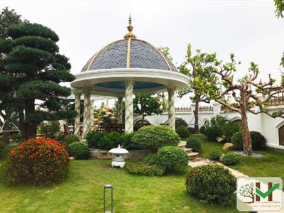Sơn Kim Việt Nam - Nâng tầm không gian sống với nghệ thuật sân vườn Nhật Bản