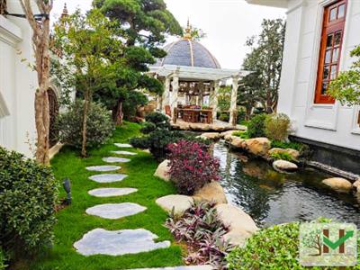 Vườn Nhật cho biệt thự - khi thiên nhiên trở thành “nghệ thuật sống”