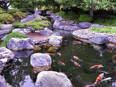 Kết Hợp Đá Tự Nhiên Với Hồ Cá Koi – Bí Quyết Tạo Nên Một Không Gian Đẳng Cấp Và Gần Gũi Thiên Nhiên