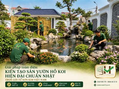 Giải pháp toàn diện: kiến tạo sân vườn hồ koi hiện đại chuẩn Nhật trọn gói từ Sơn Kim Việt Nam
