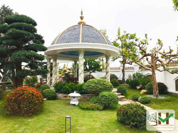 Sân vườn hiện đại